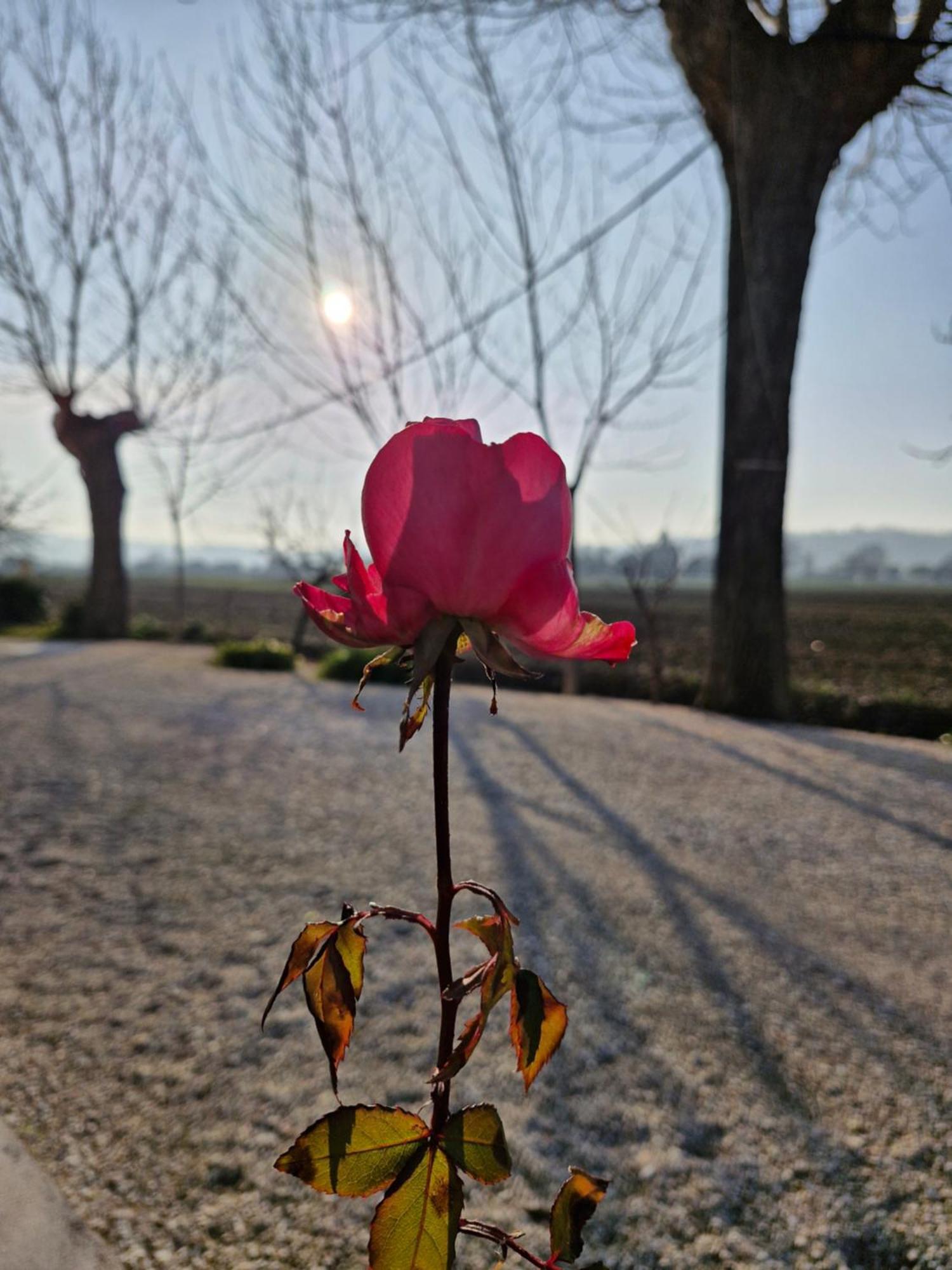 La Dolce Vita Castelfidardo Ngoại thất bức ảnh